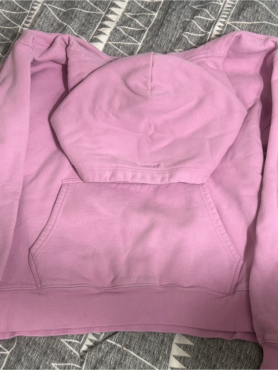 Aritzia Sweaters - Aritzia Pink Pullover Hoodie